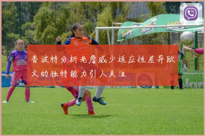 香波特分析老詹威少适应性差异欧文的独特能力引人关注